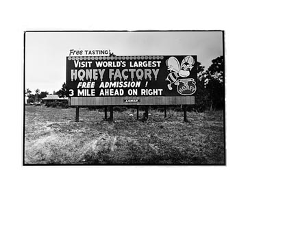 world's largest